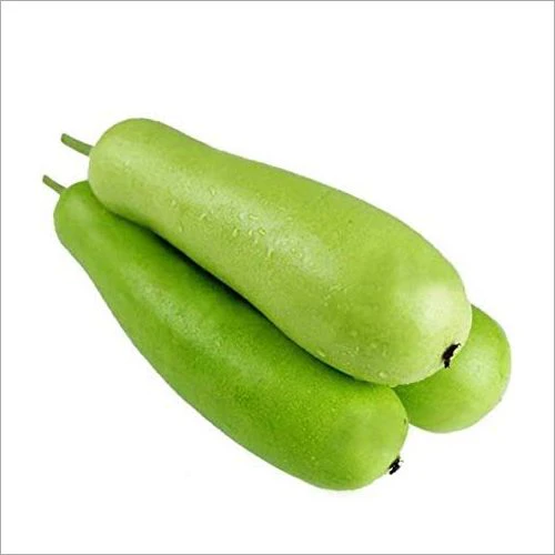 Bottle Gourd Lauki - Dev Tandoor Industries